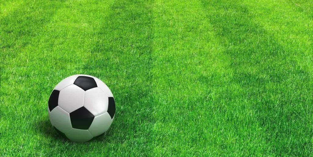 足球分析师使用数据进行研究